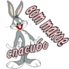 Bunny | via sticked.app 29