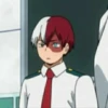 ◈『Shoto Todoroki』◈ 29