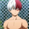 ◈『Shoto Todoroki』◈ 30