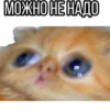 LOL 23
