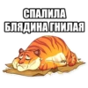 Tigerbalm 5