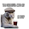 Tigerbalm 6