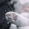 Кошачье настроение 8