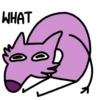 Stupid pink dog 13