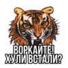 Tigerbalm 11