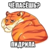 Tigerbalm 13