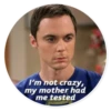 The Big Bang Theory - By Theodor 15