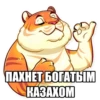 Tigerbalm 14