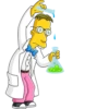 TheSimpsons 14