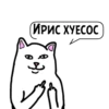 Циты #Ёлыы палыы💢№1 из 15
