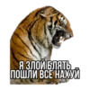 Tigerbalm 15