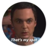 The Big Bang Theory - By Theodor 18