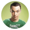 The Big Bang Theory - By Theodor 19