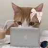 Coquetteᵎᵎ ᯇ ֪ ۫ ᥫ᭡ 21