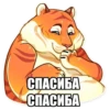 Tigerbalm 18