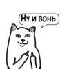 Циты #Ёлыы палыы💢№1 из 23