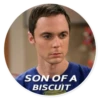 The Big Bang Theory - By Theodor 23