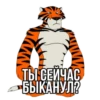 Tigerbalm 24