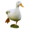 Three hundred ducks 25