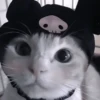 Кошачье настроение 22
