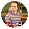 The Big Bang Theory - By Theodor 26