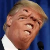 Trump Faces 12