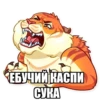 Tigerbalm 29