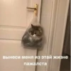 @hatersgoNNahateee 🐒 — 2