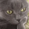 @hatersgoNNahateee 🐒 — 3