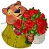 Todd Bear 5