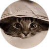 Cats — 6