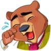 Todd Bear 7