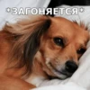 @hatersgoNNahateee 🐒 — 9