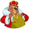 Todd Bear 9