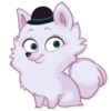 Sturdy Dog 11