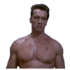 TERMINATOR T-800 12