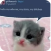 // MEME STASH // 12