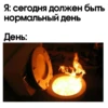 Телега топ NEW 16