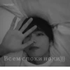Teo teddy bear :: 11