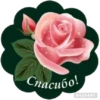 | via sticked.app 18