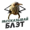 ТАК БЛЭТ 11