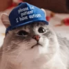 Cats — 21