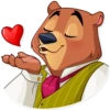 Todd Bear 22