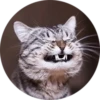 Cats — 22