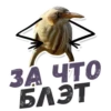 ТАК БЛЭТ 12