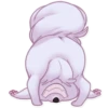 Sturdy Dog 21