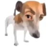 SukaCringe 17