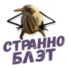 ТАК БЛЭТ 13