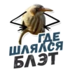 ТАК БЛЭТ 14