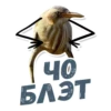 ТАК БЛЭТ 16